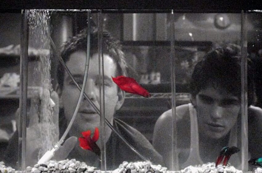 Σεραφείμ Κοτρώτσος / Το στοίχημα του Στέφανου Κασσελάκη- κι’ ένα επιμύθιο από το Rumple Fish&hellip;