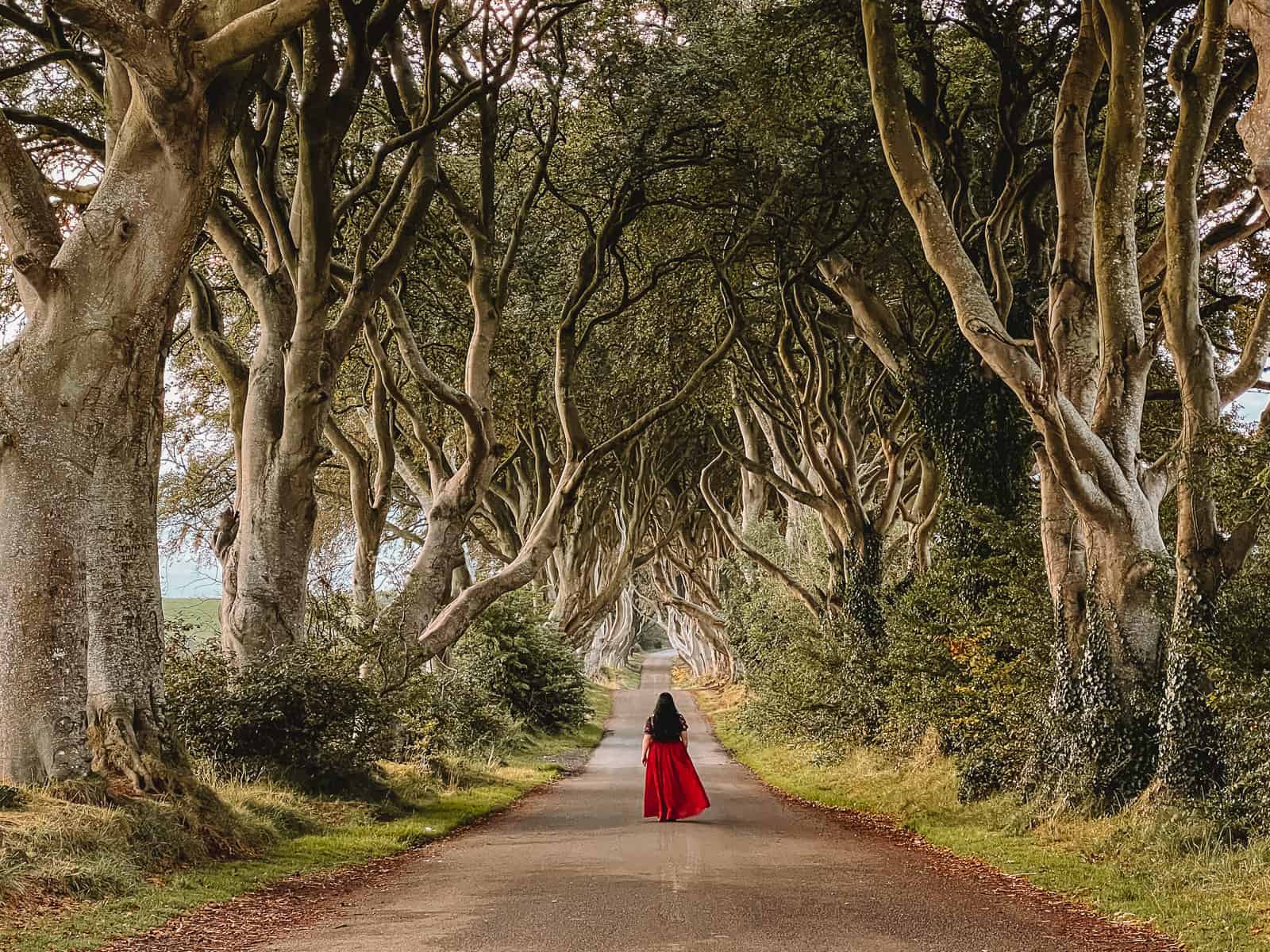 Διάσημα δέντρα από το «Game Of Thrones» πρόκειται να κοπούν