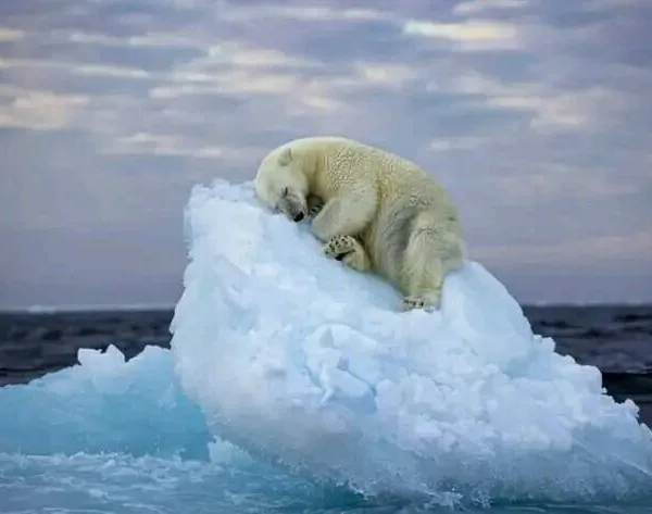 …κι εμείς συνεχίζουμε να καταστρέφουμε ακάθεκτοι το «σπίτι» της