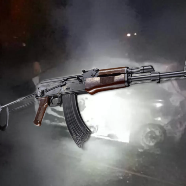 Αλκμήνη Φωτιάδου / Υπάρχει συνταγματικά κατοχυρωμένο δικαίωμα στην οπλοφορία; 