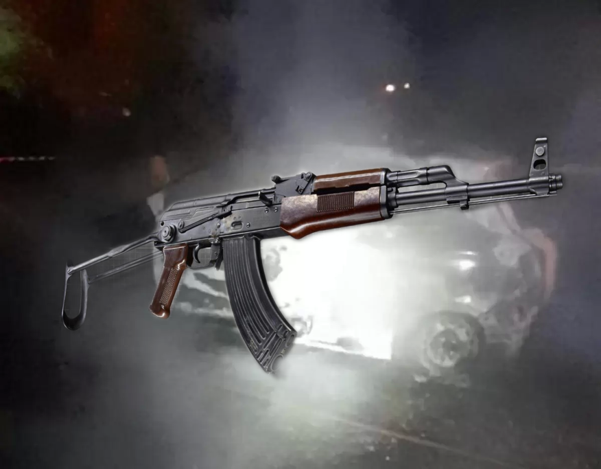 Αλκμήνη Φωτιάδου / Υπάρχει συνταγματικά κατοχυρωμένο δικαίωμα στην οπλοφορία; 