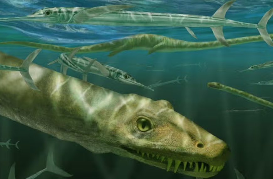 Κίνα: Βρέθηκε εντυπωσιακό απολίθωμα θαλάσσιου ερπετού – Ποια η σχέση του με&hellip;