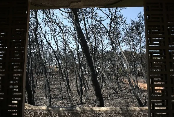Μάτι: Συνεχίζει την πρόταση του ο Εισαγγελέας – Ποιους κρίνει ενόχους, ποιους&hellip;