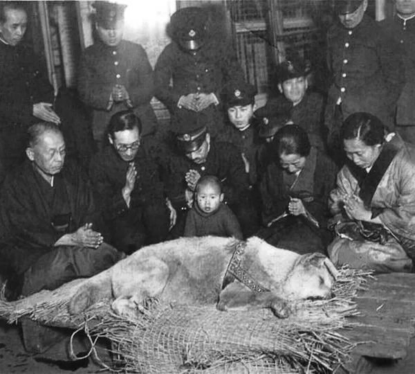 Η τελευταία φωτογραφία του Χάτσικο