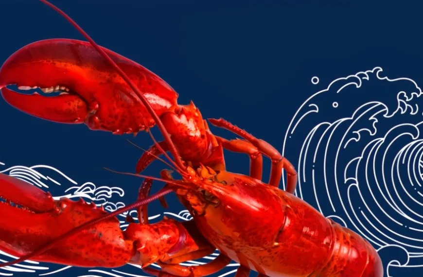 Εδώ ο κόσμος καίγεται κι εμείς ασχολούμαστε με «αστακοκάραβα»