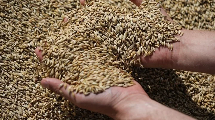 FT: Η ΕΕ σχεδιάζει την επιβολή δασμών στα σιτηρά που εισάγει (!) από…