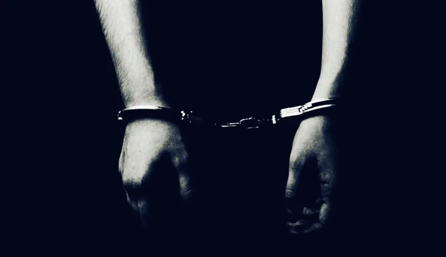 Σοφία Βιδάλη / Νέοι: Δράστες και Θύματα