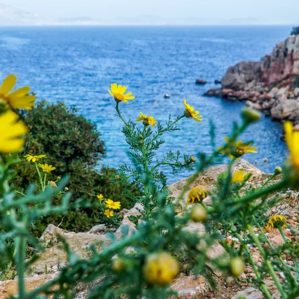 Γιάννης Ρίτσος/ Εαρινή Συμφωνία