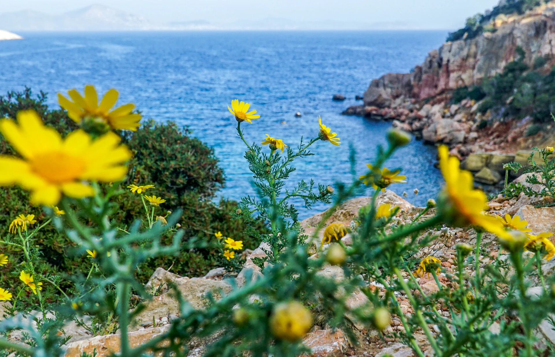 Γιάννης Ρίτσος/ Εαρινή Συμφωνία