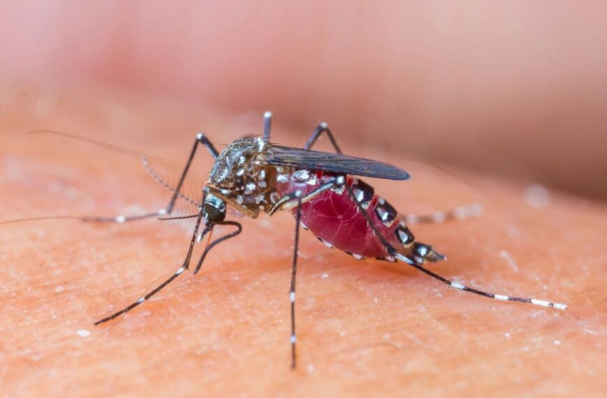 Δάγκειος πυρετός: Η νέα πανδημία; – Ανήσυχος ο Σωτήρης Τσιόδρας