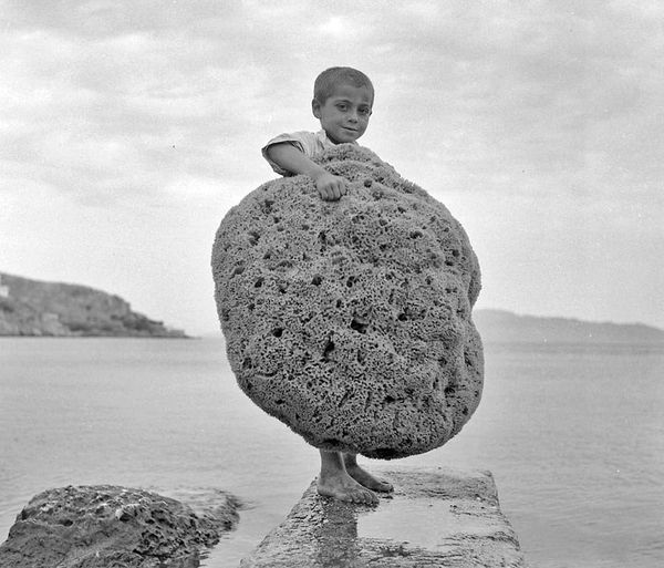 Λιλιπούτειος σφουγγαράς στην Κάλυμνο