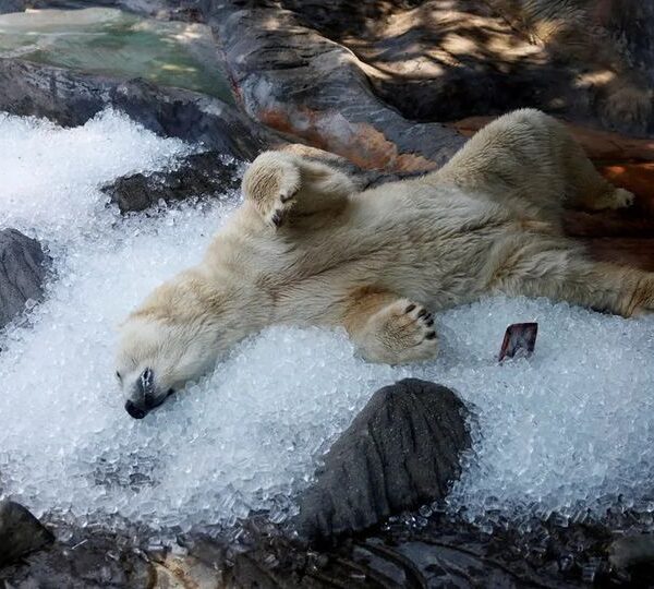 Ζέστα και σήμερα!