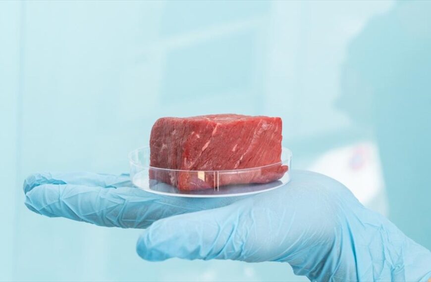 Καλλιεργημένο κρέας: Σχεδόν οι μισοί Έλληνες θα το δοκίμαζαν