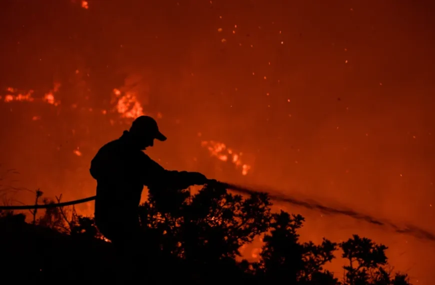 WMO: Οι δασικές πυρκαγιές παράγουν «τοξικό μίγμα» ρύπων που επηρεάζει την ατμόσφαιρα&hellip;