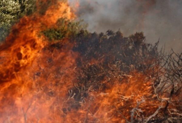 Την Τετάρτη θα απολογηθεί ο 80χρονος που φέρεται να έβαλε 4 φωτιές&hellip;