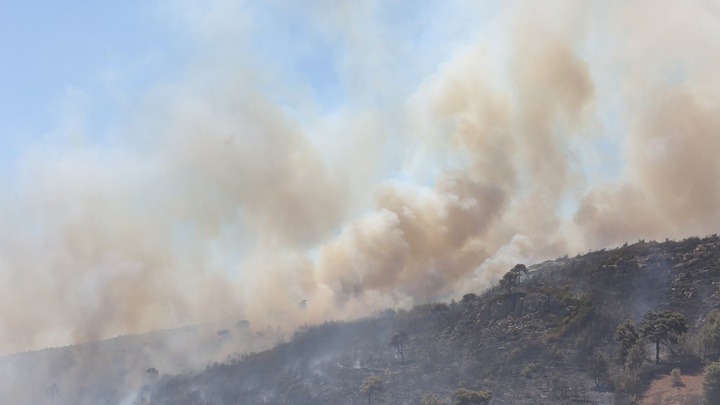 ΓΓΠΠ: Πολύ υψηλός κίνδυνος πυρκαγιάς και για αύριο Τρίτη 13/8