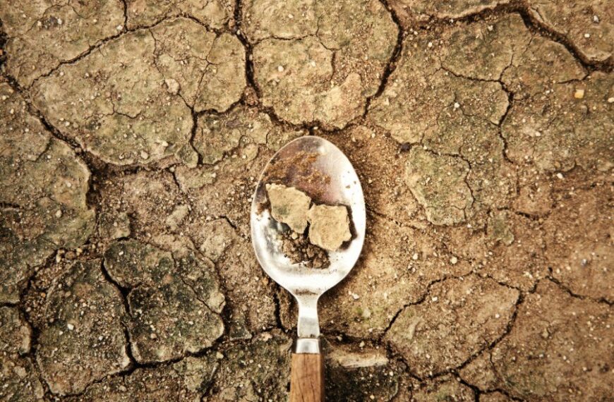 Γιάννης Τσιπουρίδης/ Κλιματική αλλαγή και λειψυδρία:  Νέες προκλήσεις – Παλιές συνταγές