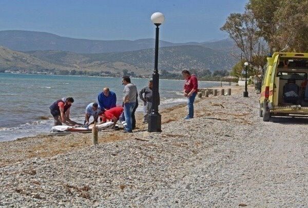 Νεκρός ο 40χρονος που είχε τραυματίσει βαριά τον πατέρα του με ψαροντούφεκο