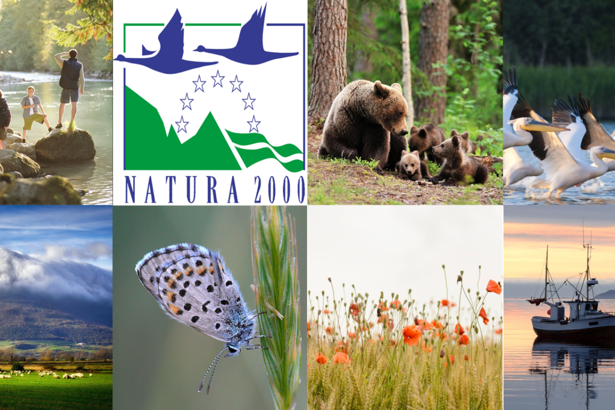 Μόνο 12 από τις 174 θαλάσσιες περιοχές Natura προστατεύονται – Επιστολή-SOS 9 περιβαλλοντικών…
