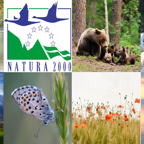 Μόνο 12 από τις 174 θαλάσσιες περιοχές Natura προστατεύονται – Επιστολή-SOS 9&hellip;