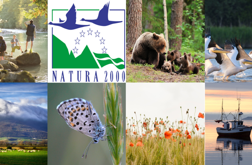 Μόνο 12 από τις 174 θαλάσσιες περιοχές Natura προστατεύονται – Επιστολή-SOS 9&hellip;