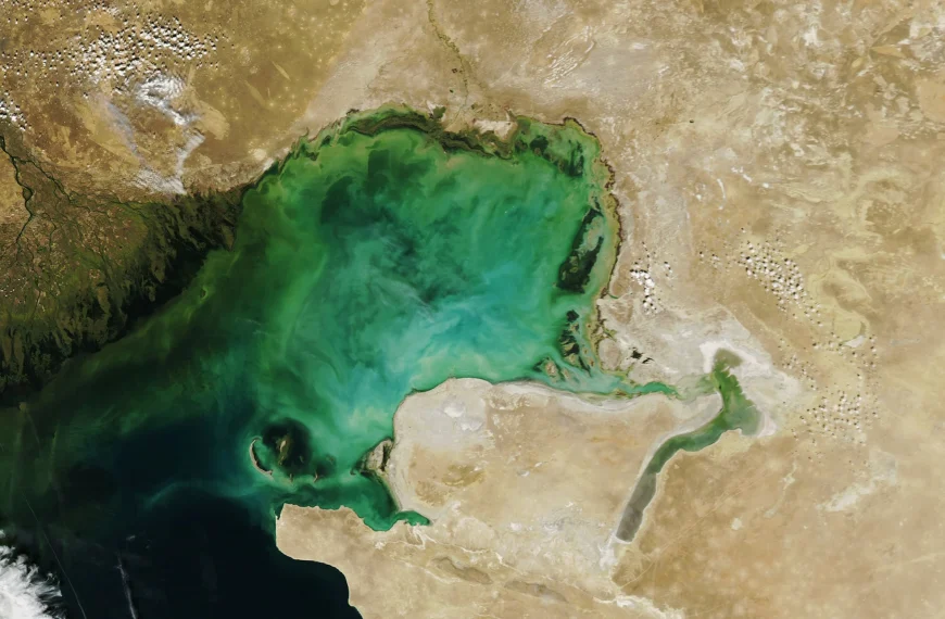 Κασπία Θάλασσα: Η μεγαλύτερη λίμνη του πλανήτη πεθαίνει