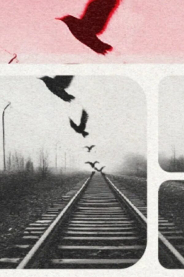 Συναυλία για τα Τέμπη: Εγκρίθηκε η μετάδοση με live streaming 