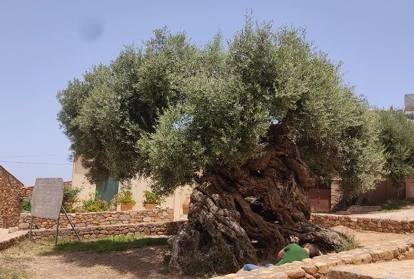 Εναλλακτικές μορφές τουρισμού: Απάντηση στις προκλήσεις που γεννά ο υπερτουρισμός
