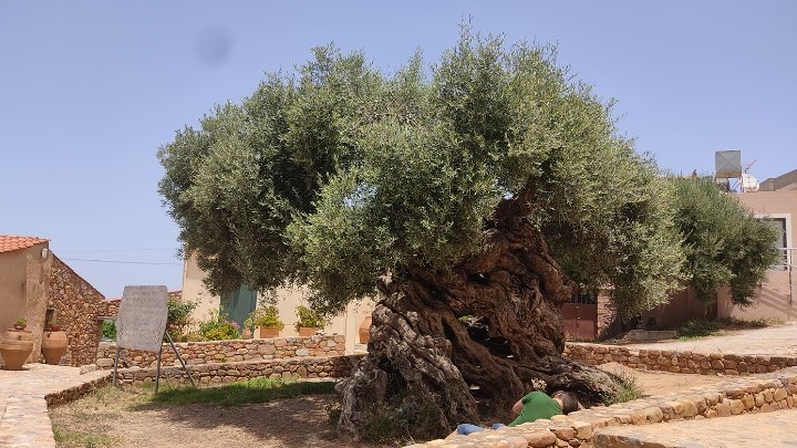 Εναλλακτικές μορφές τουρισμού: Απάντηση στις προκλήσεις που γεννά ο υπερτουρισμός