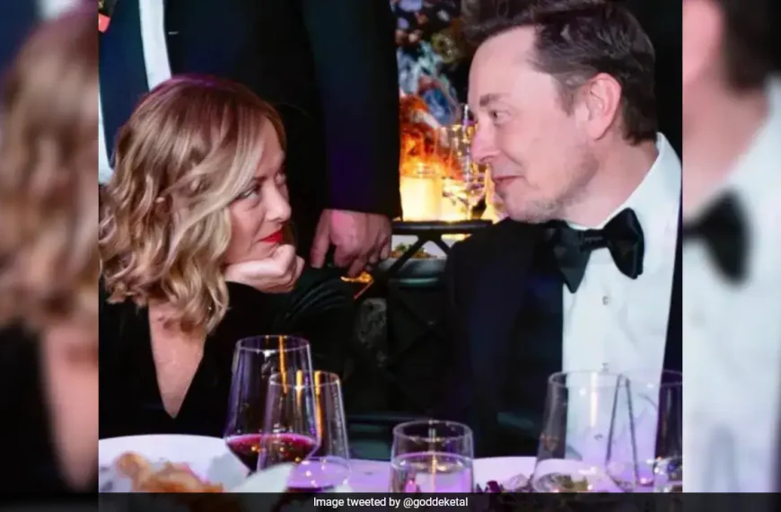 Τι θα μπορούσε να σημαίνει για την Ευρώπη το «ειδύλλιο» Μελονι-Μασκ