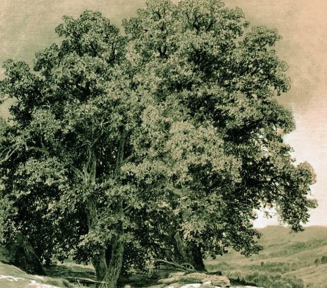 Τι θέλουν να μας πουν οι Ρώσοι με τη… φουντουκιά;