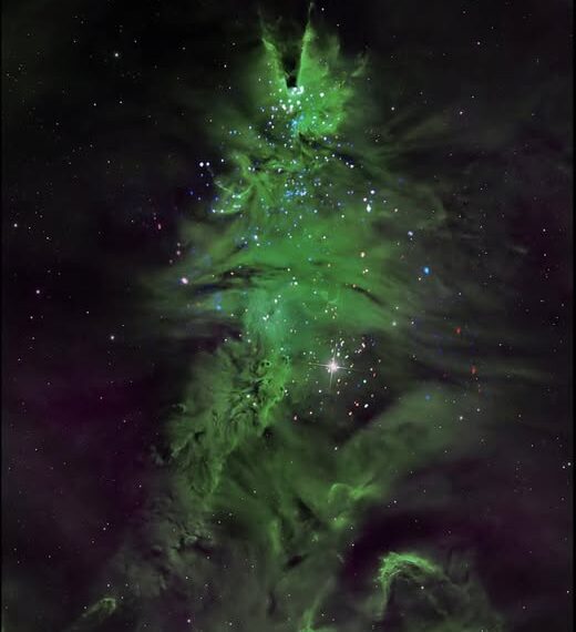 Χριστουγεννιάτικο δέντρο στο Διάστημα