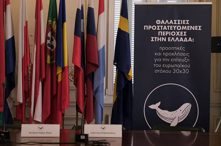 WWF & GREENPEACE: Προστατευόμενες Θαλάσσιες Περιοχές μόνο «στα χαρτιά»