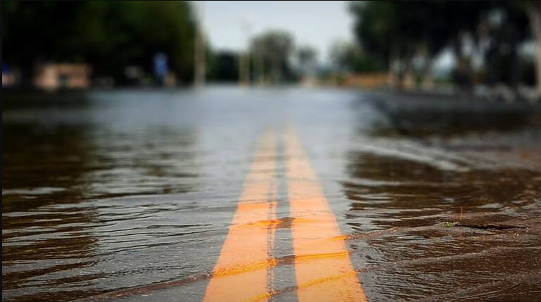 Γιάννης Τσιπουρίδης / Λαϊκισμός και κλιματική κρίση