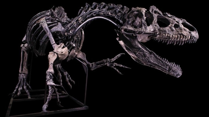 Τρία απολιθώματα δεινόσαυρων βγαίνουν στο σφυρί σε δημοπρασία στο Λονδίνο