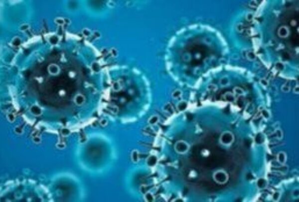 ΕΟΔΥ:18 επιβεβαιωμένα κρούσματα ευλογιάς των πιθήκων τους τελευταίους δύο μήνες