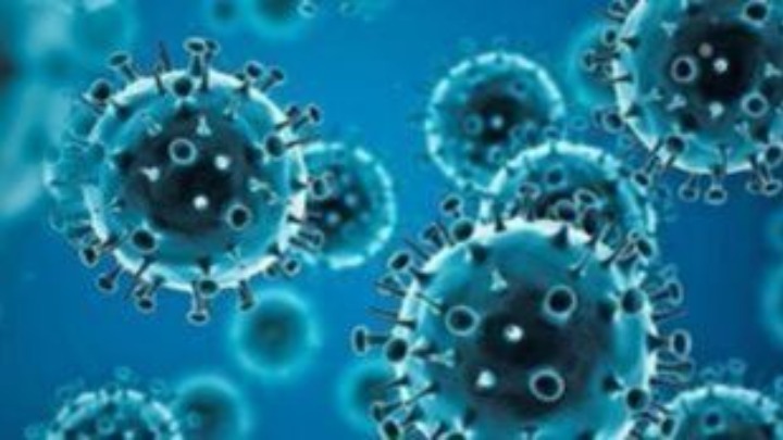 ΕΟΔΥ:18 επιβεβαιωμένα κρούσματα ευλογιάς των πιθήκων τους τελευταίους δύο μήνες