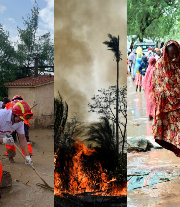 Γιάννης Τσιπουρίδης / Ο βασιλιάς είναι γυμνός…