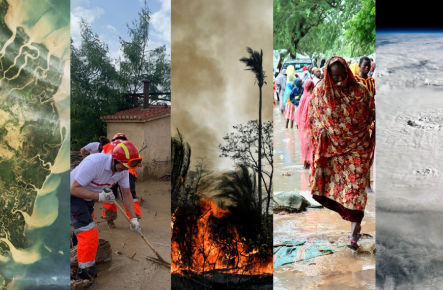 Γιάννης Τσιπουρίδης / Ο βασιλιάς είναι γυμνός…