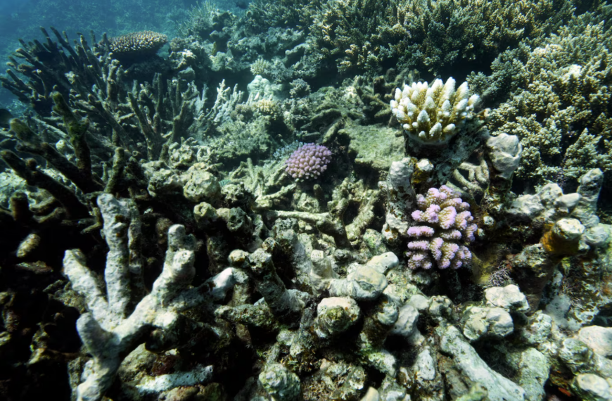 Διάταγμα Τραμπ για εξόρυξη στα βαθέα ύδατα: Περιβαλλοντικές ανησυχίες και η μάχη για τους πολυμεταλλικούς όζους