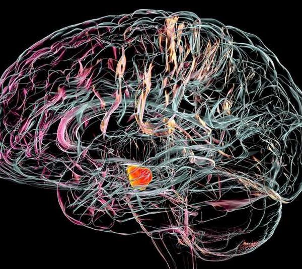 Ολλανδός νευρολόγος: «Το Πάρκινσον είναι μια ανθρωπογενής ασθένεια που οφείλεται σε φυτοφάρμακα»