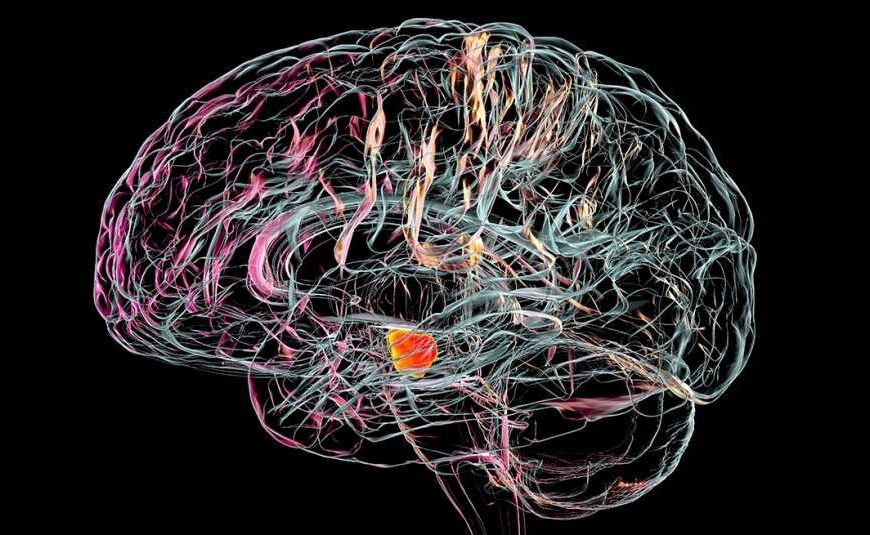 Ολλανδός νευρολόγος: «Το Πάρκινσον είναι μια ανθρωπογενής ασθένεια που οφείλεται σε φυτοφάρμακα»