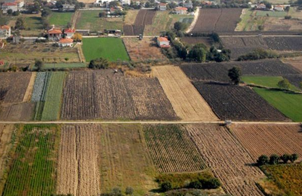 Σφοδρές αντιδράσεις για το προεδρικό διάταγμα που μετατρέπει οικόπεδα σε μη οικοδομήσιμα…&hellip;