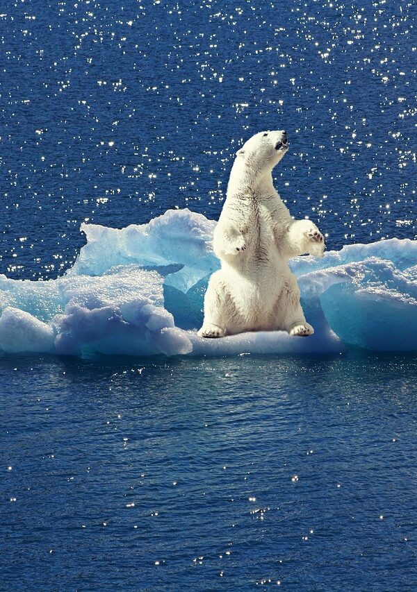 Image by cocoparisienne on Pixabay