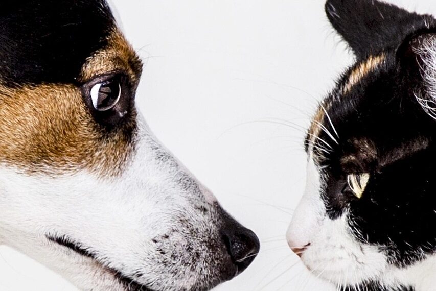 Image by GiselaFotografie on Pixabay