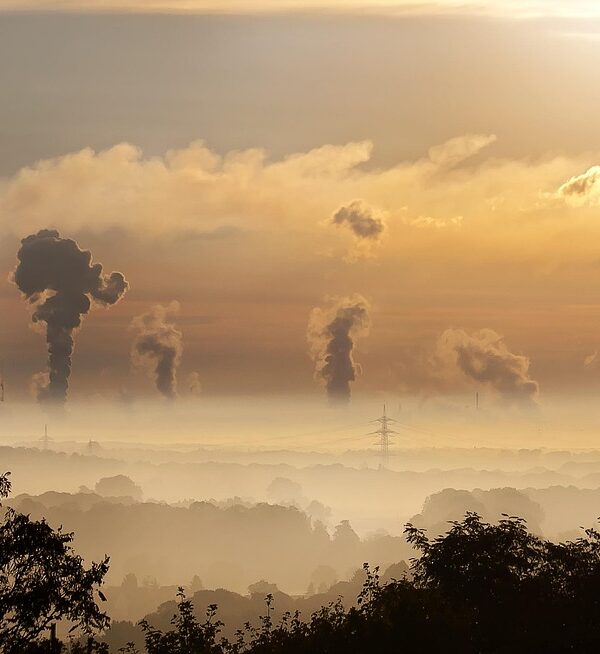 Image by Foto-Rabe on Pixabay