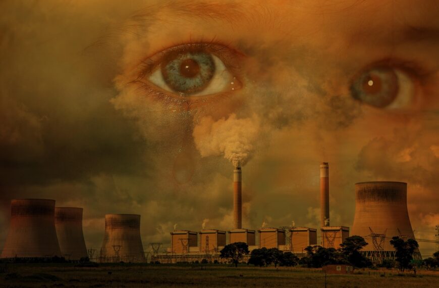 Image by TheDigitalArtist on Pixabay