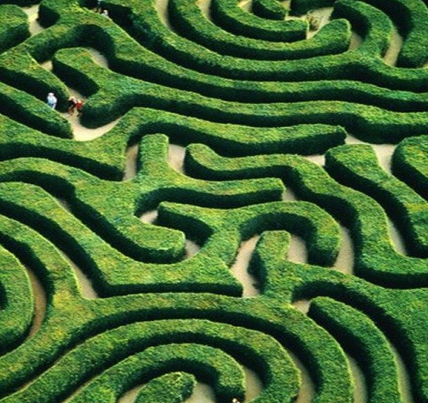 Κεντροαριστερά: Νέα κίνηση 144 πολιτών με στόχο την ενότητα και την κοινή δράση προεκλογικά