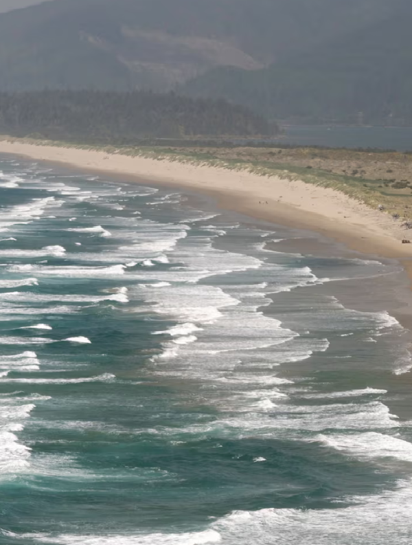 Όταν η Γη βουλιάξει: Ο εφιάλτης του Μεγάλου Σεισμού στις ακτές της Καλιφόρνιας