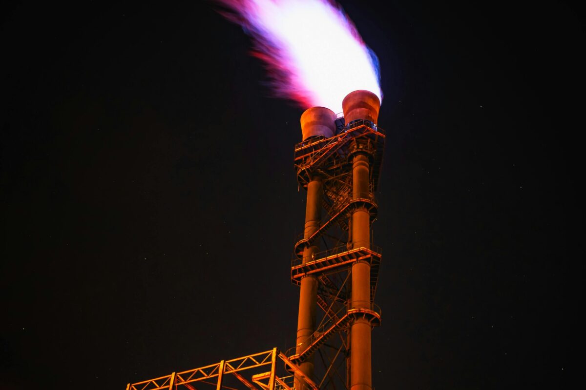 Photo by Pixabay on Pexels